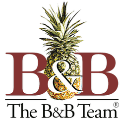 the bb team pineapple logo