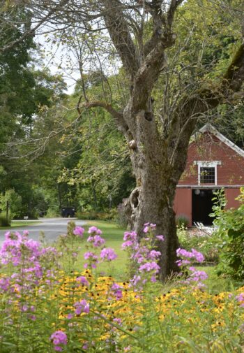 The Barn